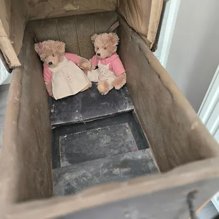La Des Petits Ours Bayac